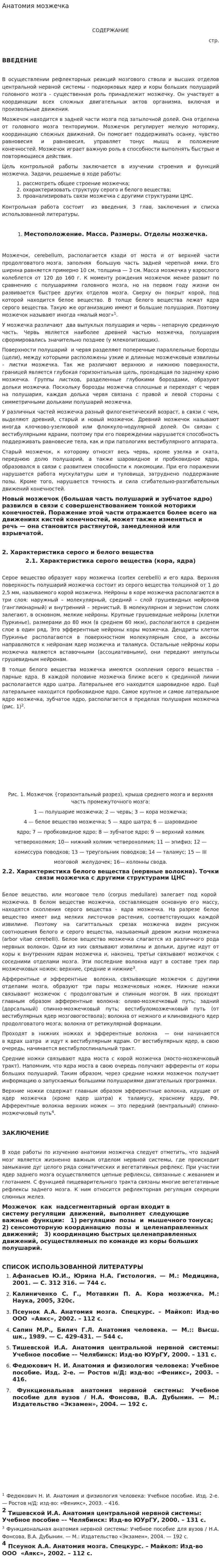 Анатомия мозжечка