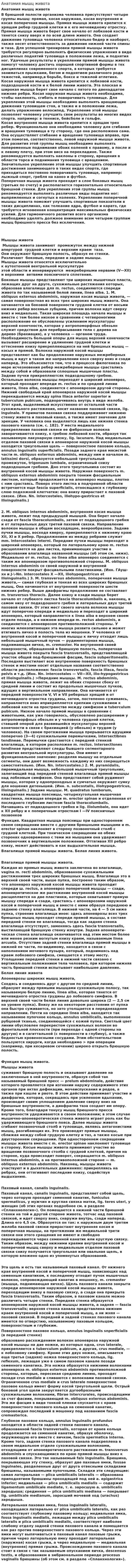 Анатомия мышц живота