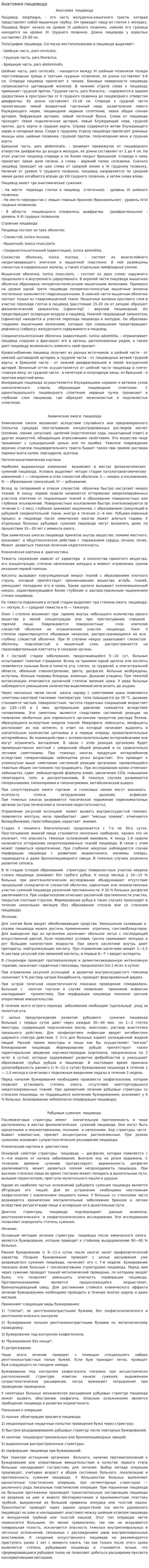 Анатомия пищевода