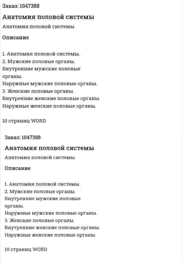 Анатомия половой системы (реферат) 