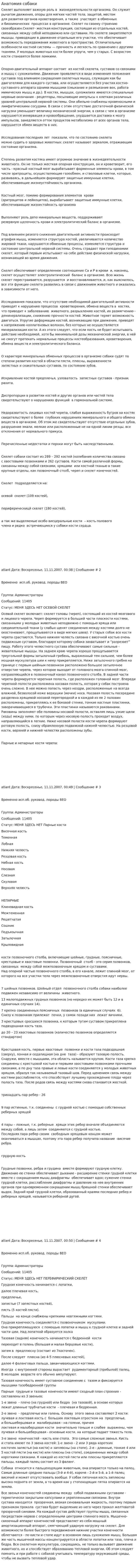 Анатомия собаки