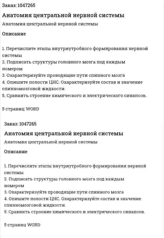 Анатомия центральной нервной системы (контрольная работа) 