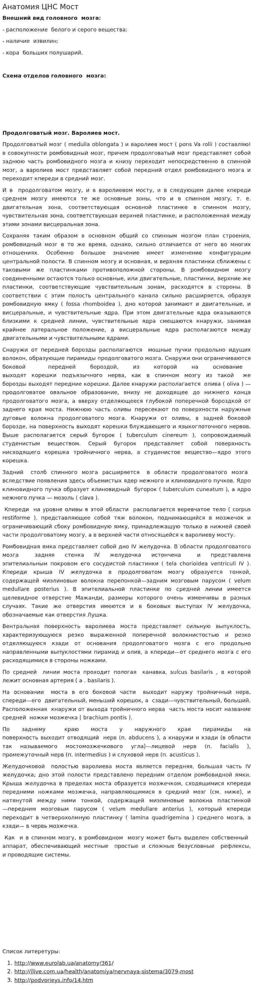 Анатомия ЦНС Мост