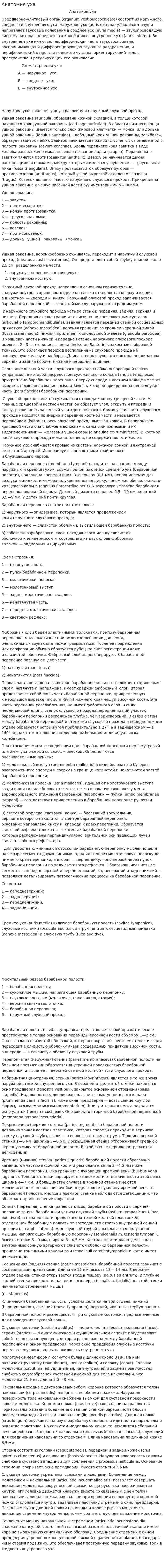 Анатомия уха