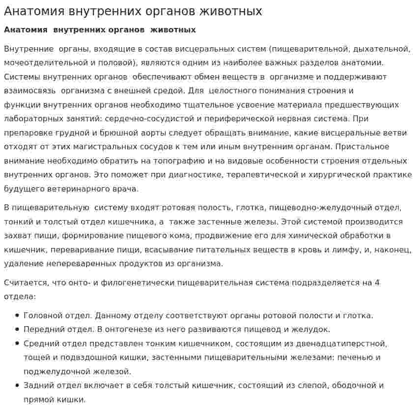 Анатомия внутренних органов животных