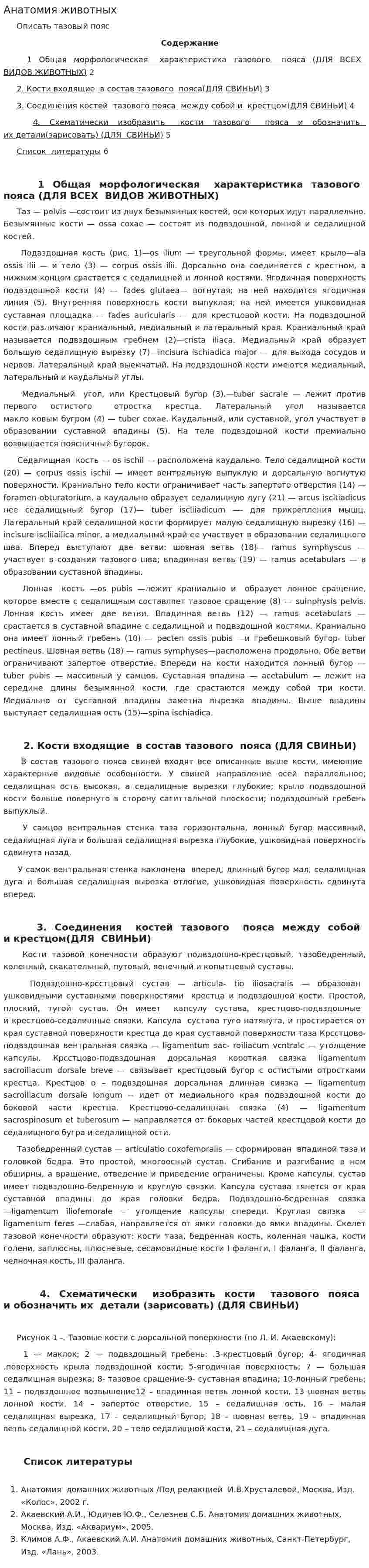 Анатомия животных