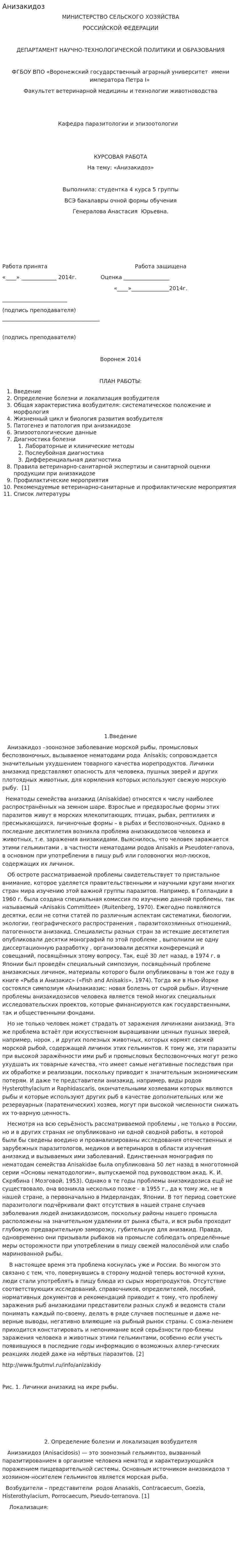 Анизакидоз
