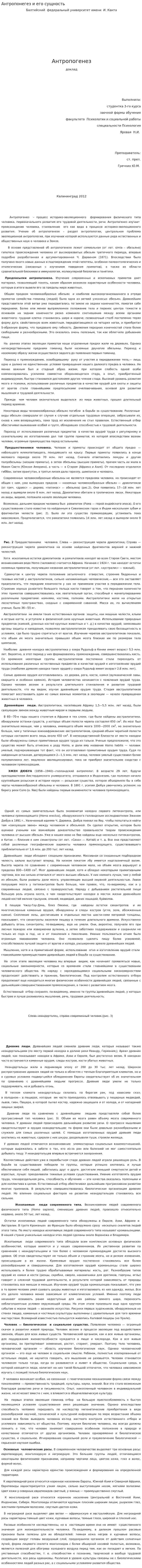 Антропонегез и его сущность