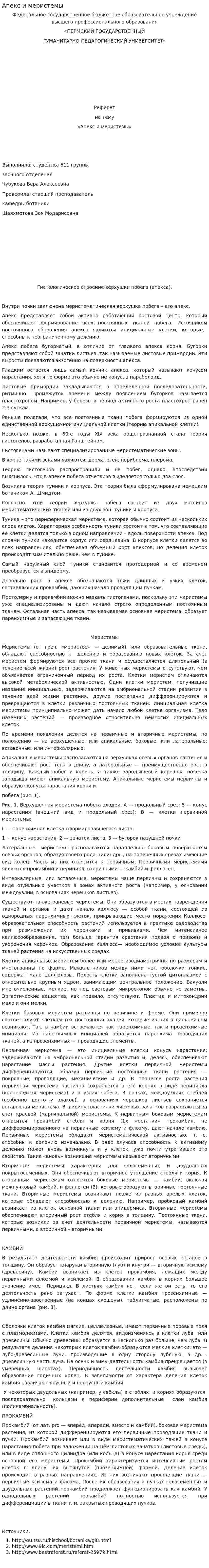 Апекс и меристемы