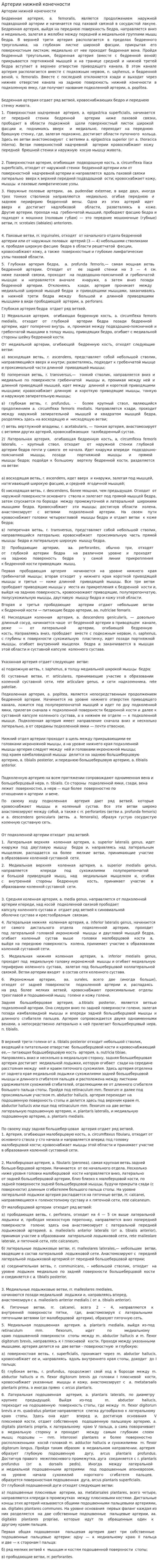 Артерии нижней конечности