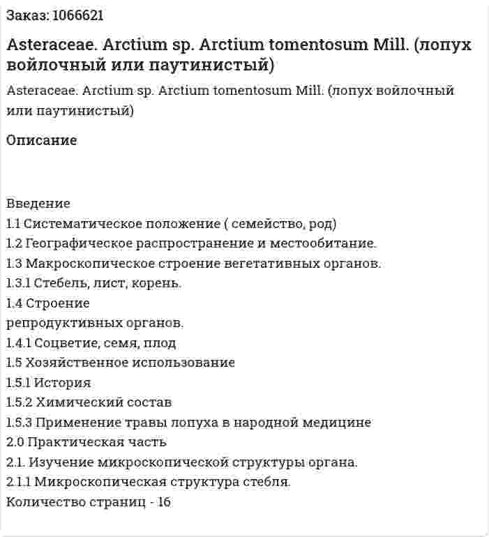 Asteraceae.  Arctium sp. Arctium tomentosum Mill. (лопух войлочный или паутинистый) (реферат) 