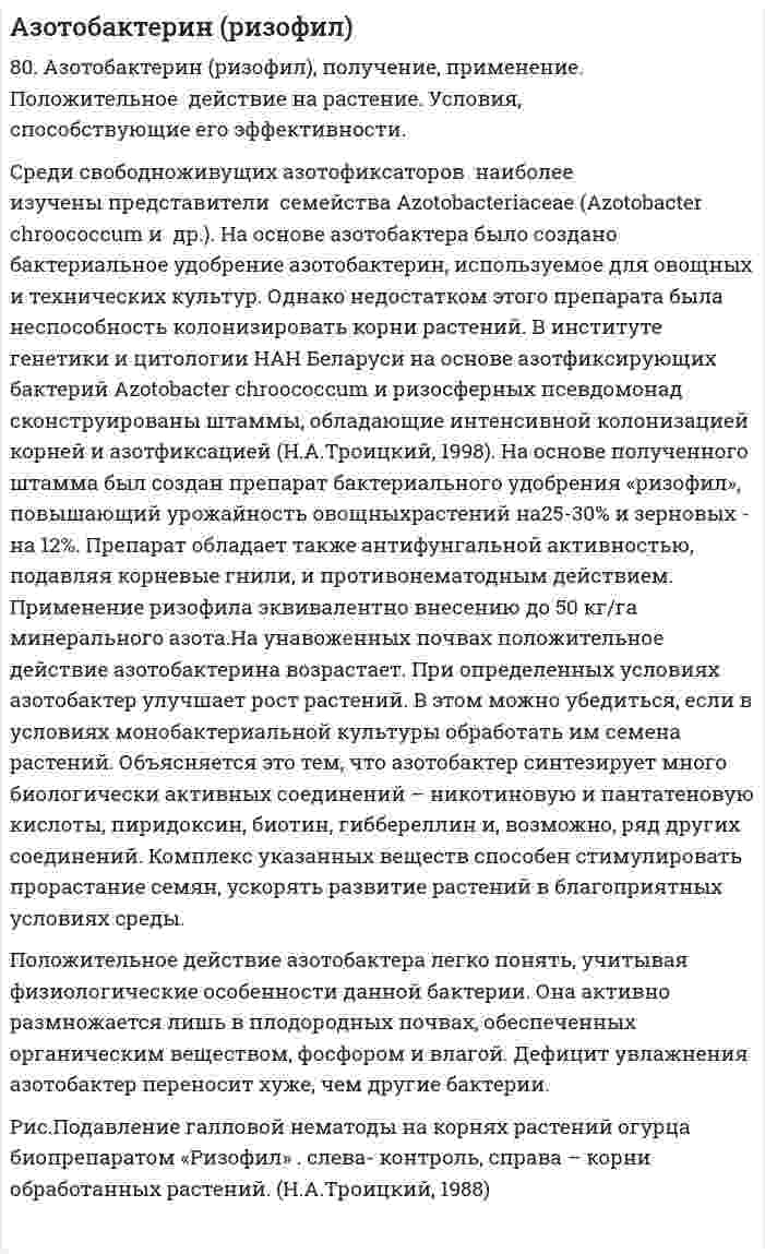 Азотобактерин (ризофил)