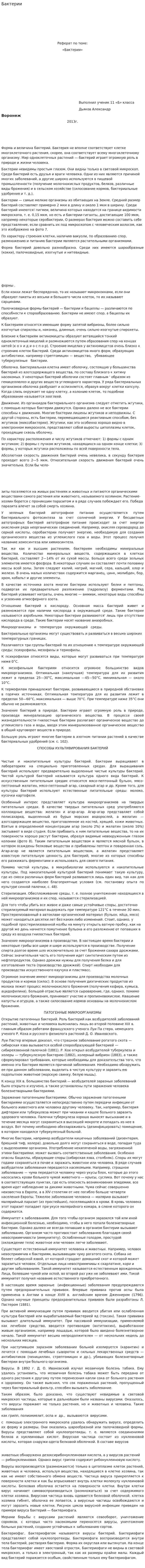 Бактерии. 4