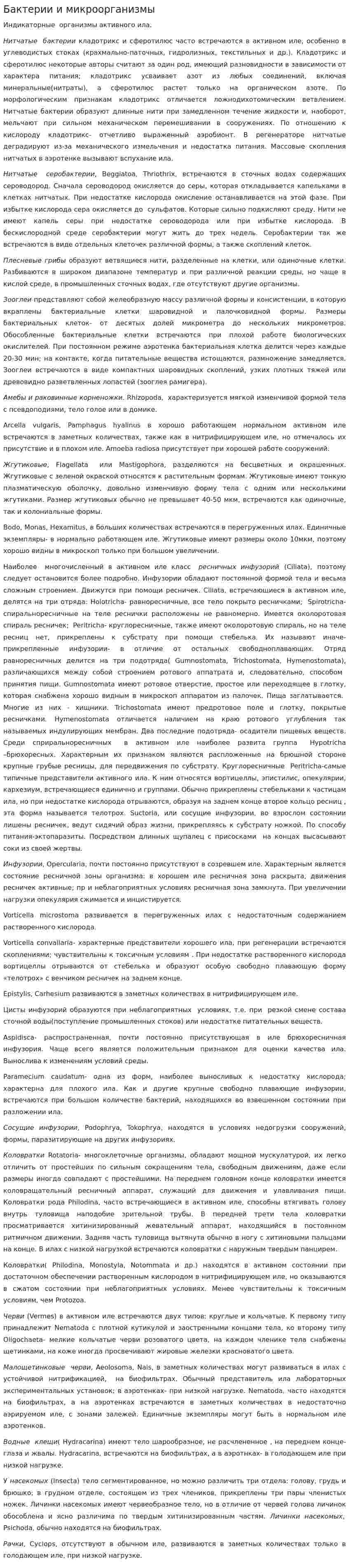 Бактерии и микроорганизмы