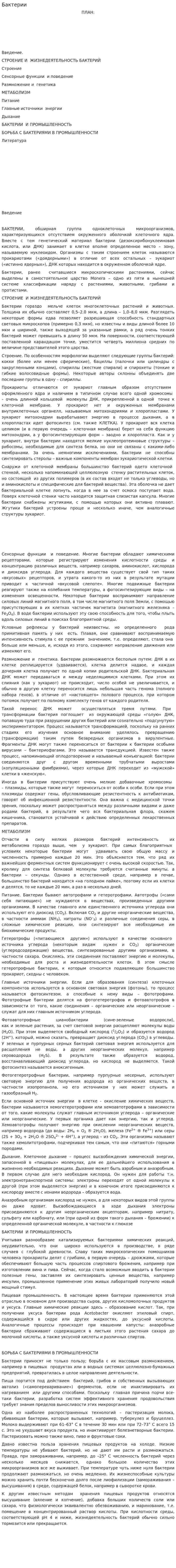Бактерии. 2
