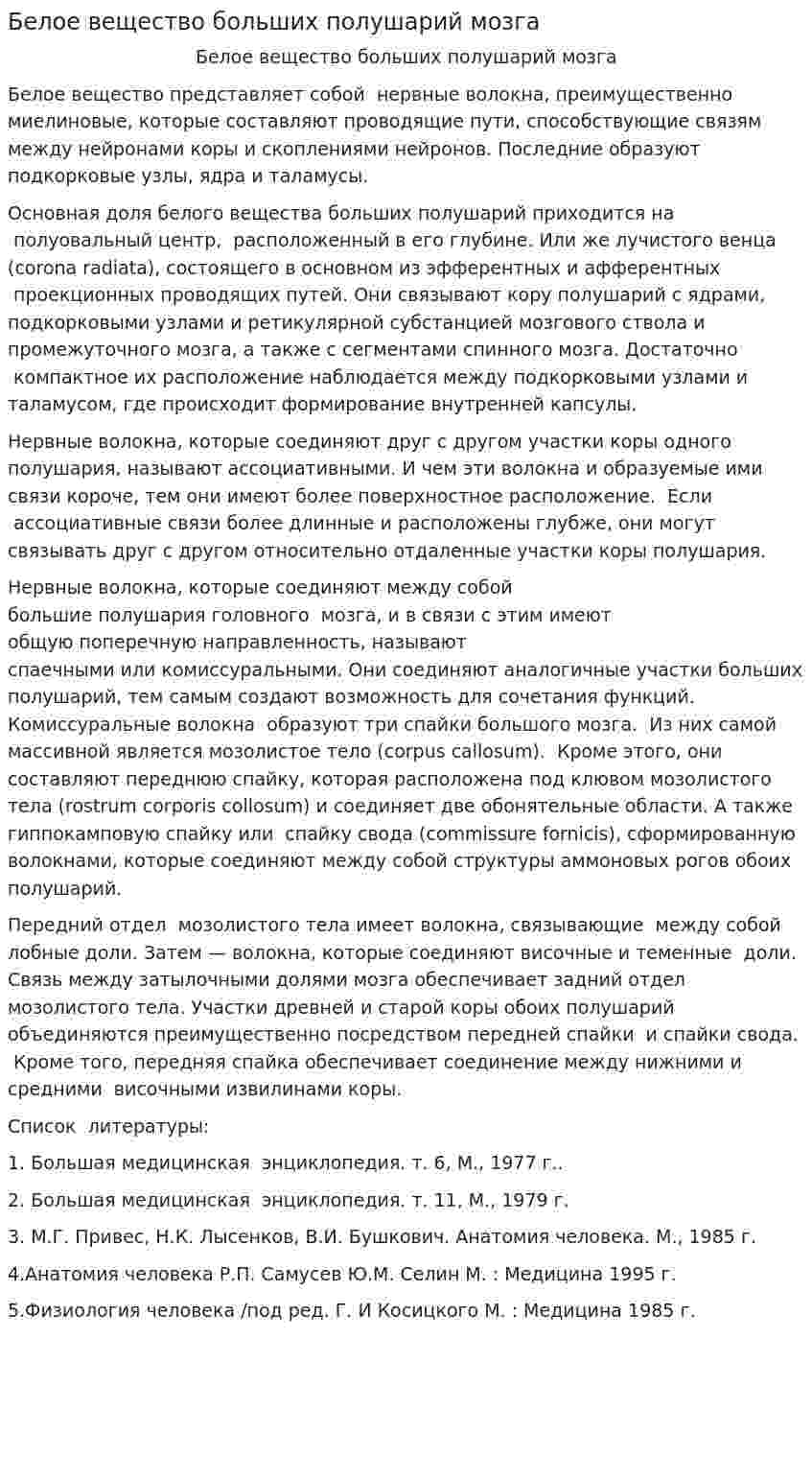 Белое вещество больших полушарий мозга