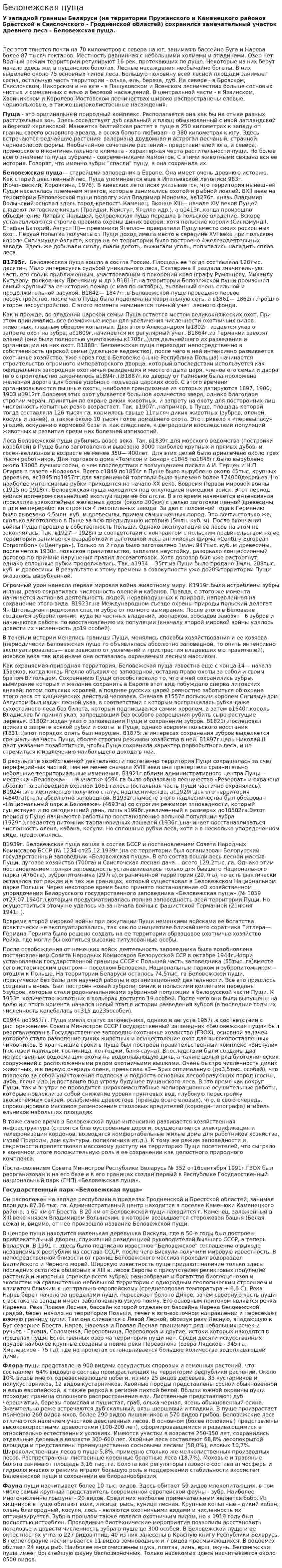 Беловежская пуща. 2