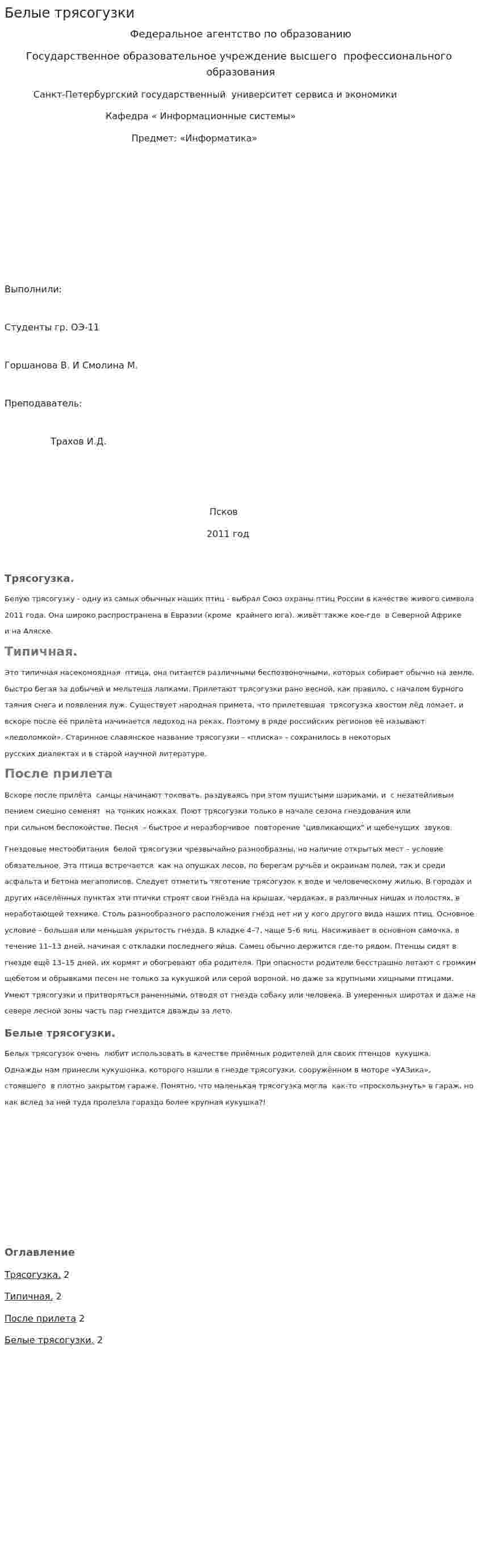 Белые трясогузки