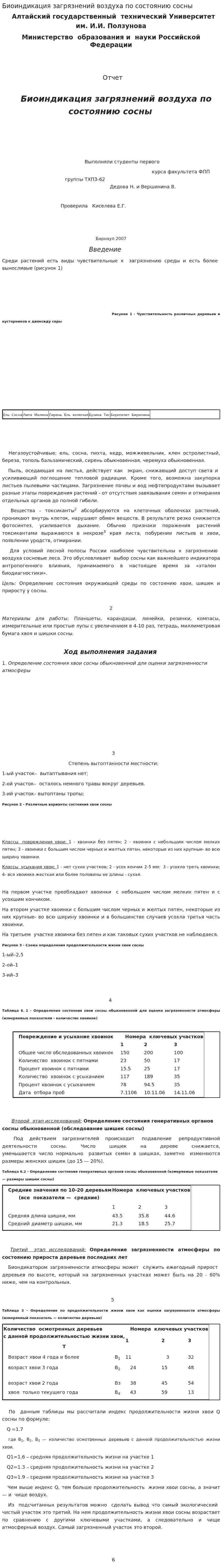 Биоиндикация загрязнений воздуха по состоянию сосны