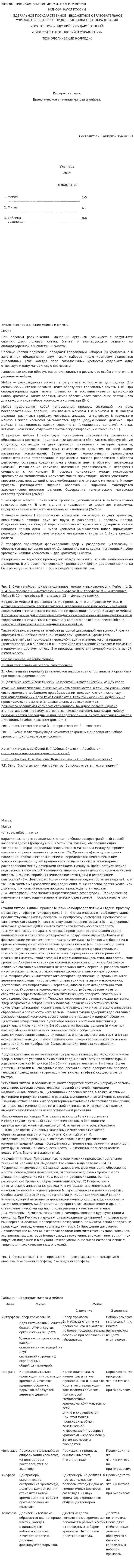 Биологическое значение митоза и мейоза