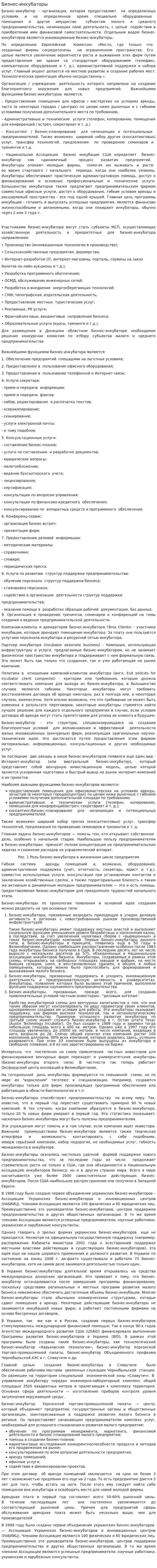 Бизнес-инкубаторы. 3