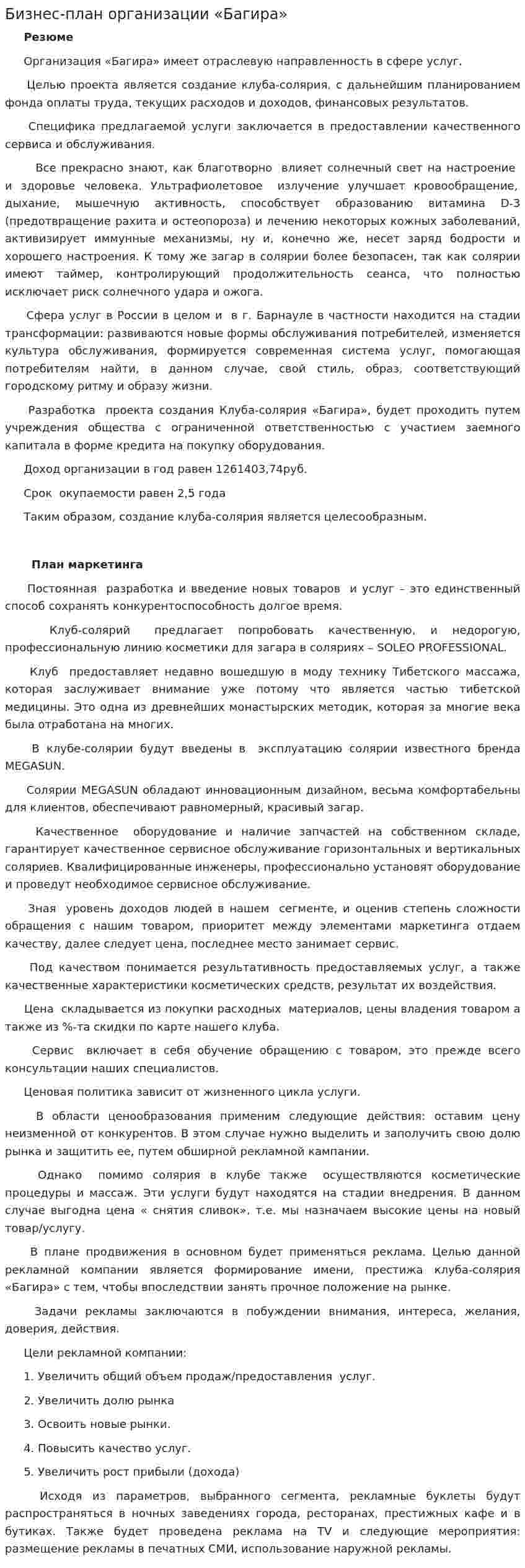 Бизнес-план организации «Багира»