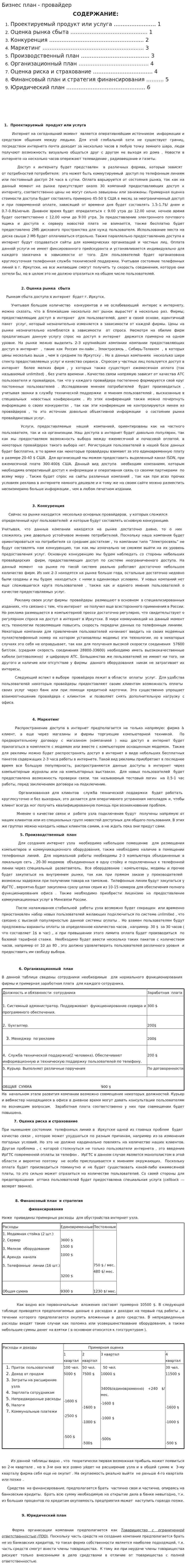 Бизнес план - провайдер