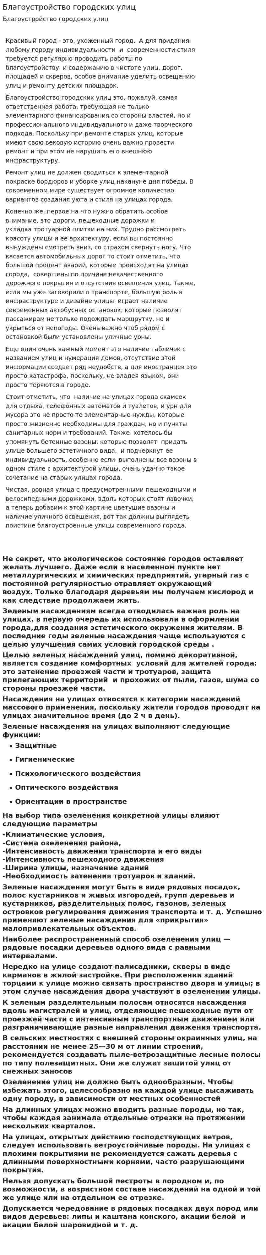 Благоустройство городских улиц