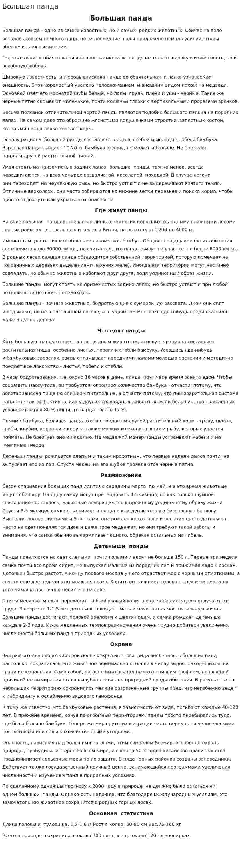 Большая панда
