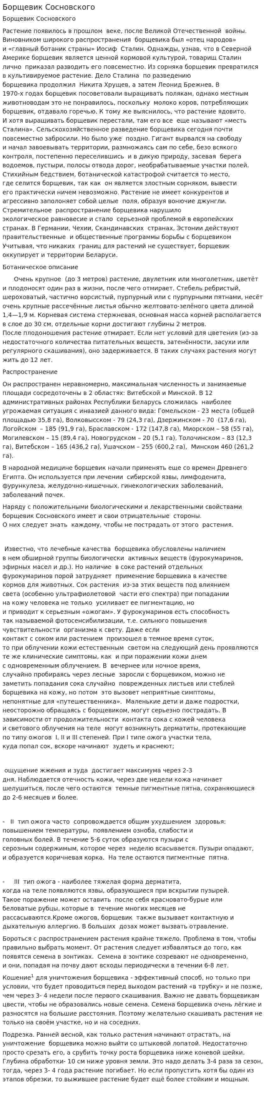 Борщевик Cосновского
