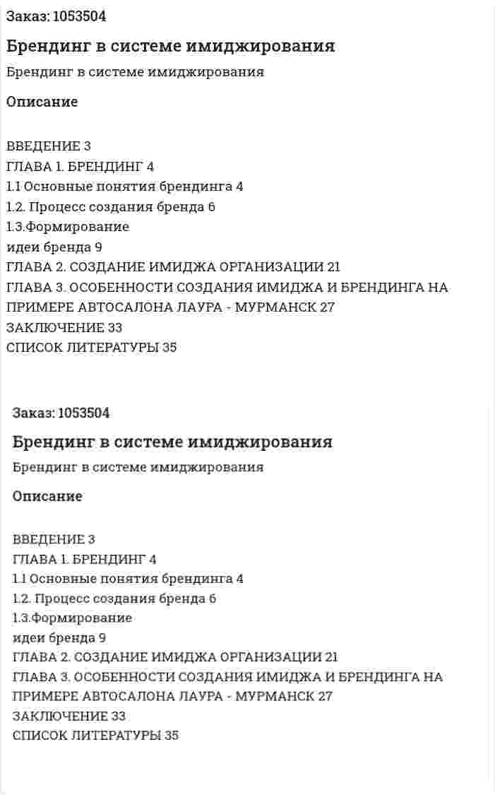 Брендинг в системе имиджирования (курсовая работа) 