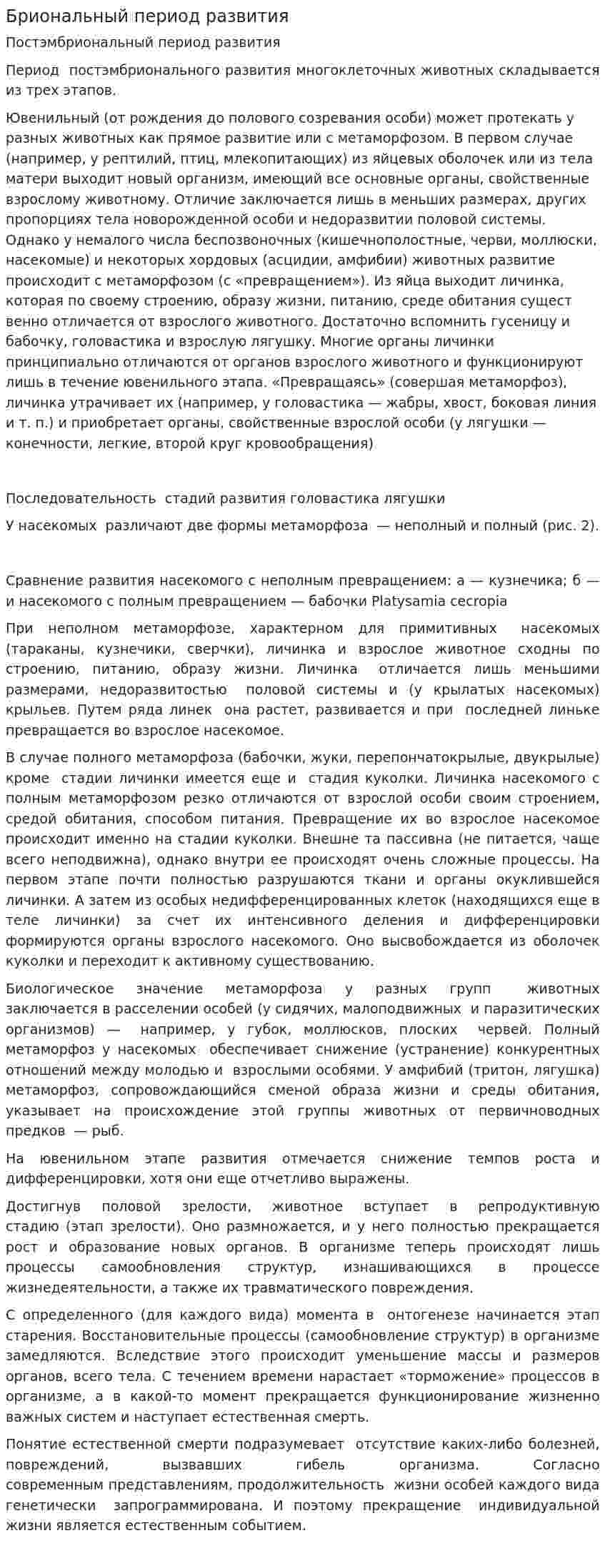 Бриональный период развития