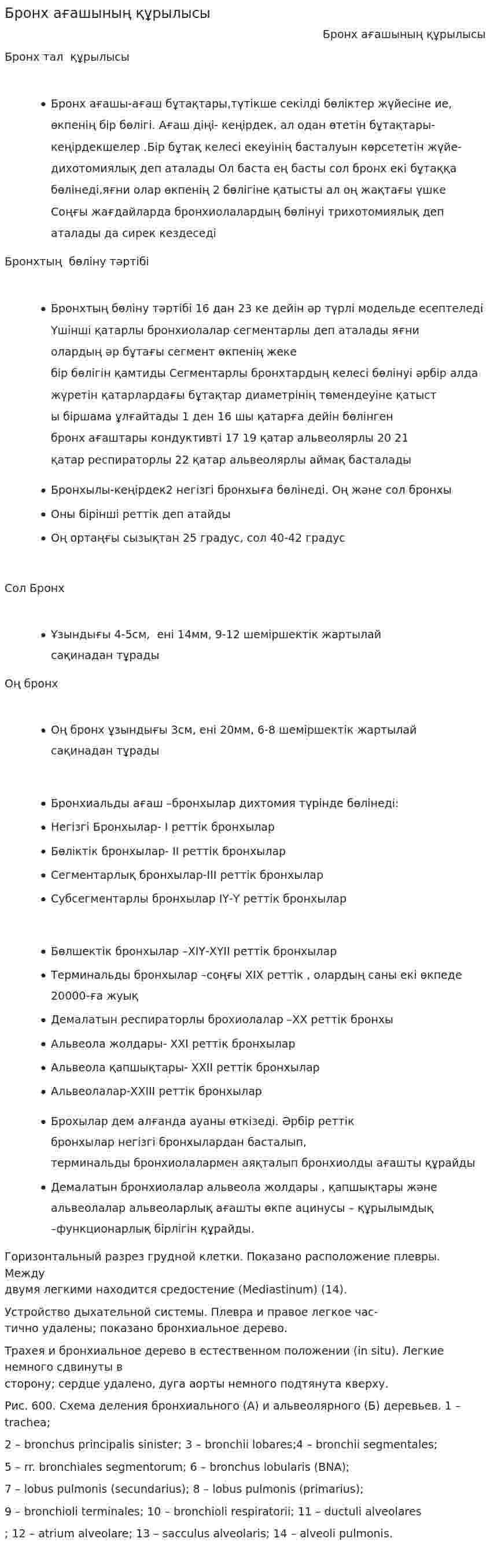 Бронх ағашының құрылысы