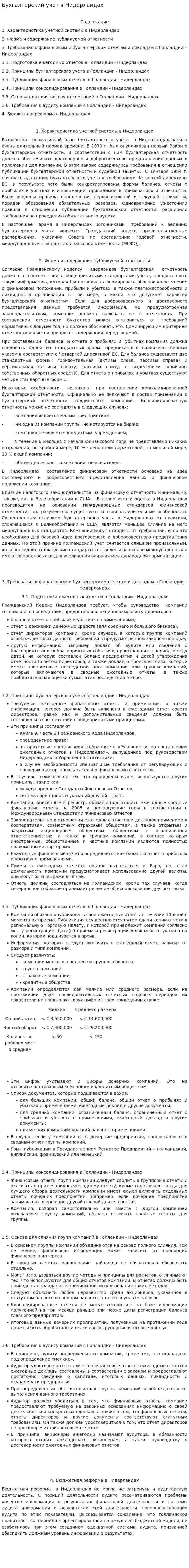 Бухгалтерский учет в Нидерландах