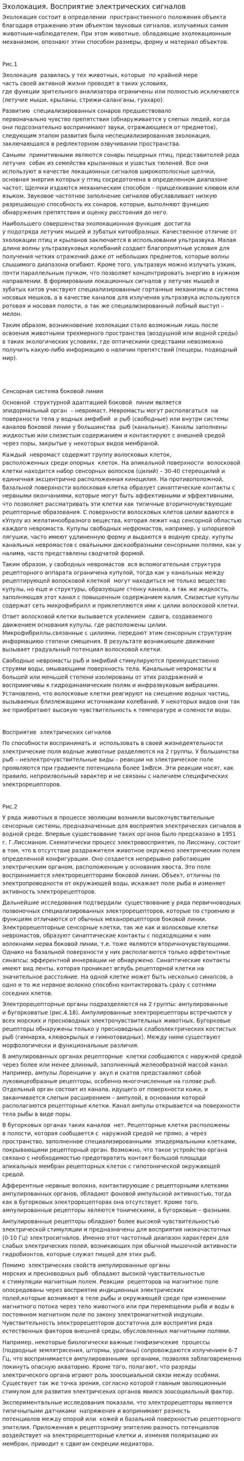 Эхолокация. Восприятие электрических сигналов