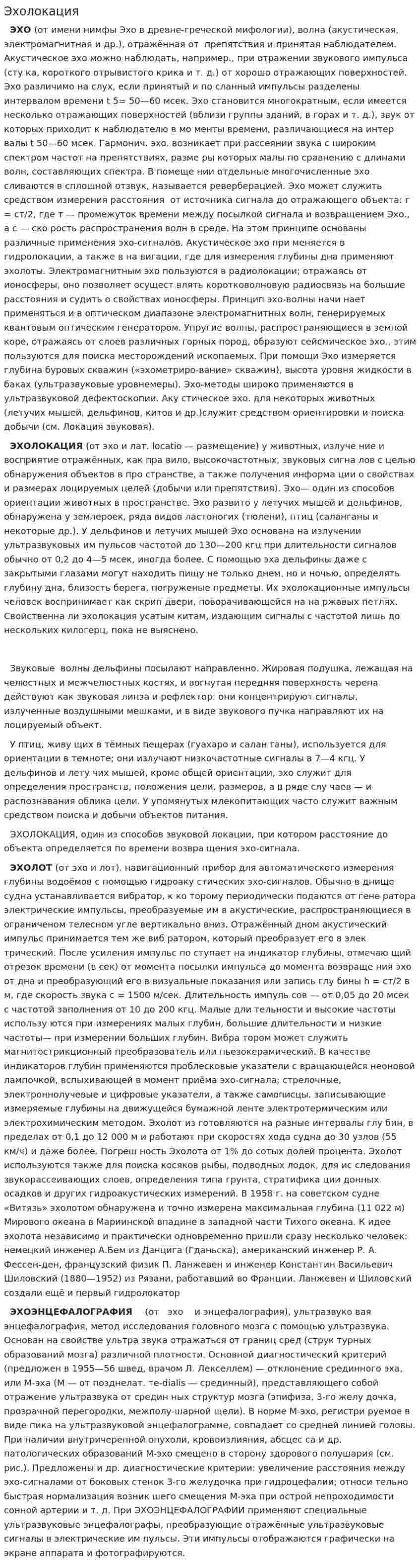 Эхолокация