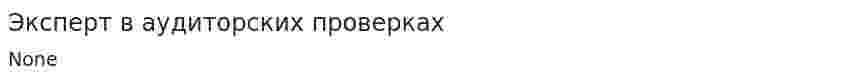 Эксперт в аудиторских проверках