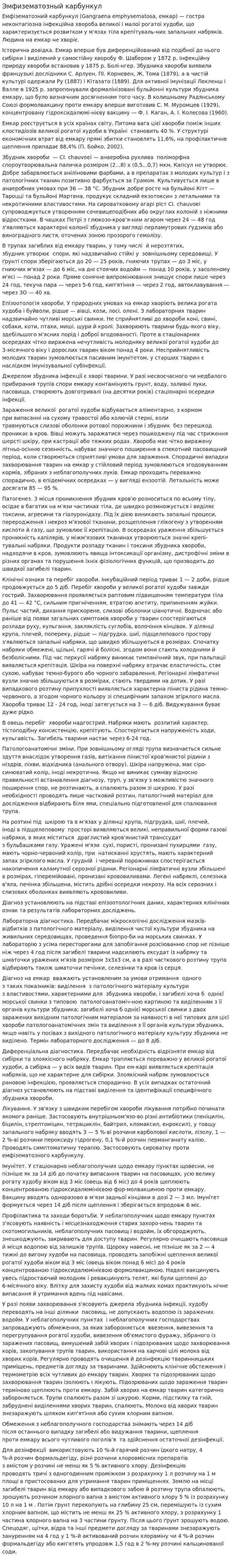 Эмфизематозный карбункул. 4