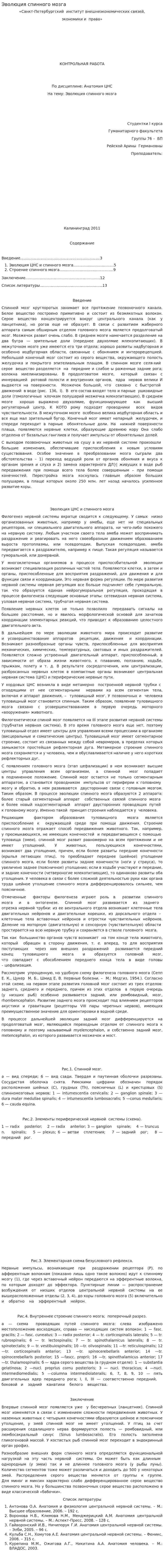 Эволюция спинного мозга
