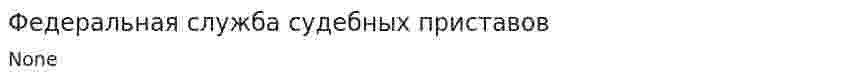 Федеральная служба судебных приставов. 2
