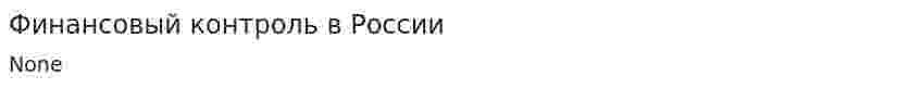 Финансовый контроль в России
