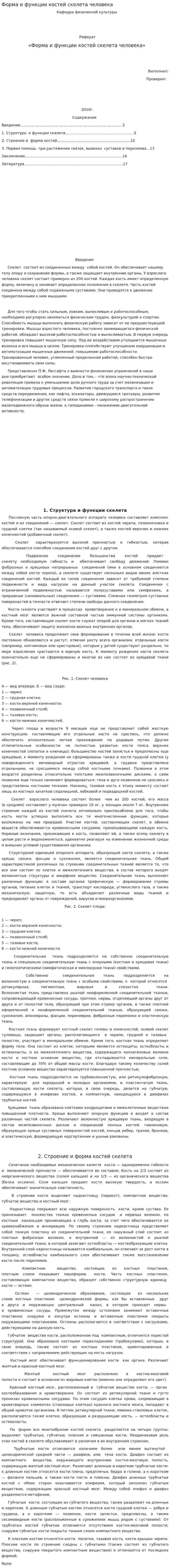 Форма и функции костей скелета человека