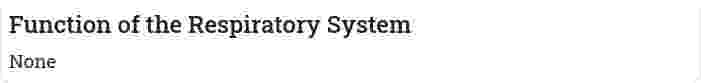 Function of the Respiratory System