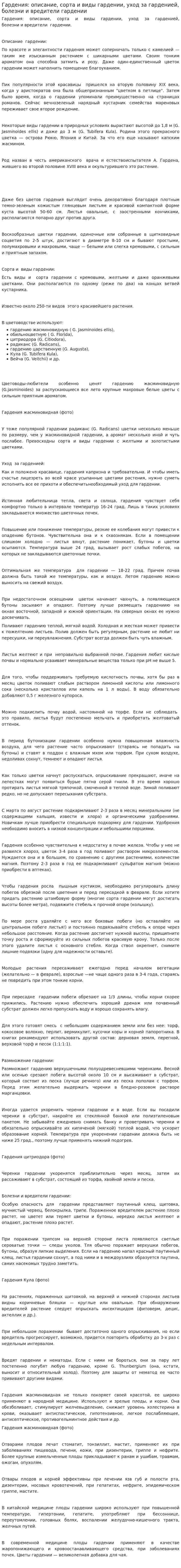Гардения: описание, сорта и виды гардении, уход за гарденией, болезни и вредители гардении