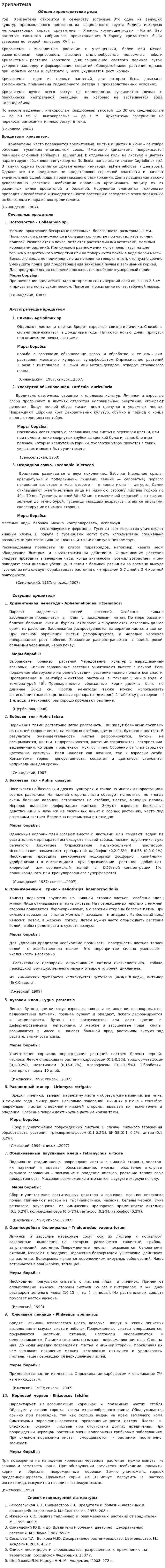 Хризантема