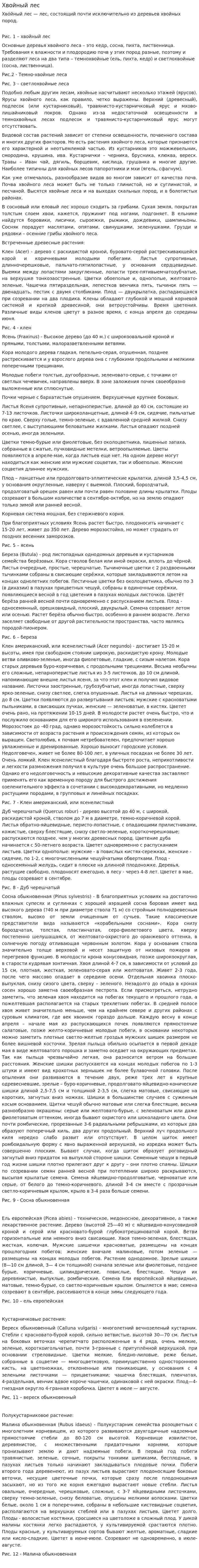 Хвойный лес