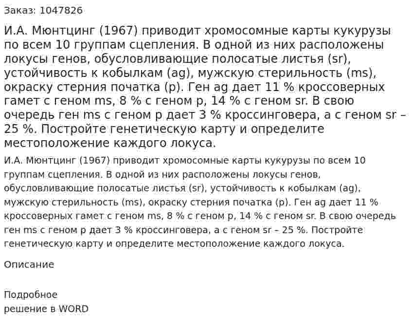 И.А. Мюнтцинг (1967) приводит хромосомные карты кукурузы по всем 10 группам сцепления. В одной из них расположены локусы генов, обусловливающие полосатые листья (sr), устойчивость к кобылкам (ag), мужскую стерильность (ms), окраску стерния початка (р). Ген ag дает 11 % кроссоверных гамет с геном ms, 8 % с геном р, 14 % с геном sr. В свою очередь ген ms с геном р дает 3 % кроссинговера, а с геном sr – 25 %. Постройте генетическую карту и определите местоположение каждого локуса. 