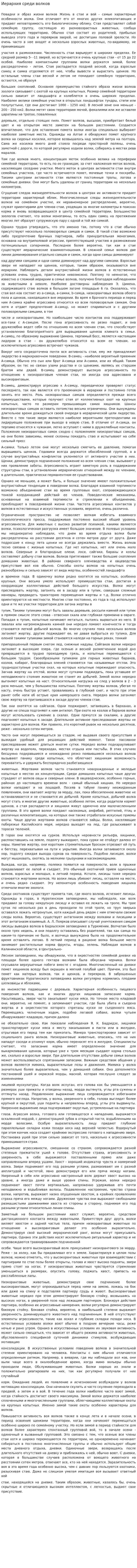 Иерархия среди волков