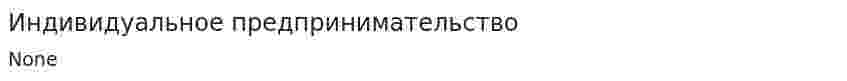 Индивидуальное предпринимательство. 13