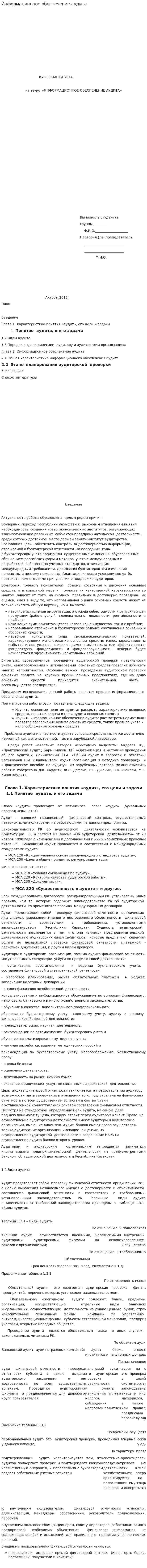 Информационное обеспечение аудита. 4
